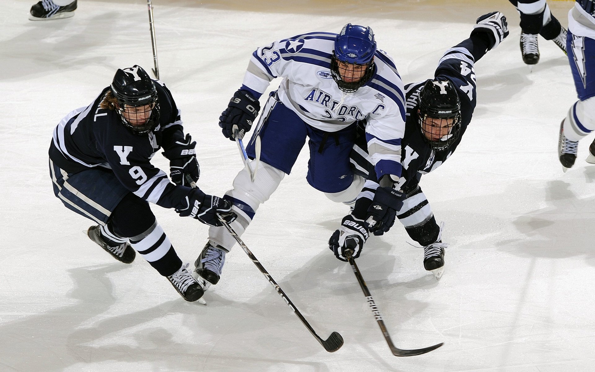 中国游泳队闪耀世锦赛,斩获多枚金牌创历史佳绩